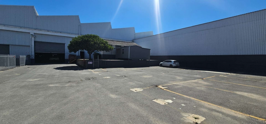 To Let commercial Property for Rent in Everite Industria Western Cape